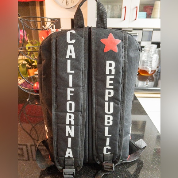 California Republic Back Pack Bear Water Resistant Black Bag Travel NWOT 15 x 12 - Picture 3 of 4